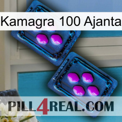 Kamagra 100 Ajanta 03
